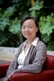 Shijing Xu